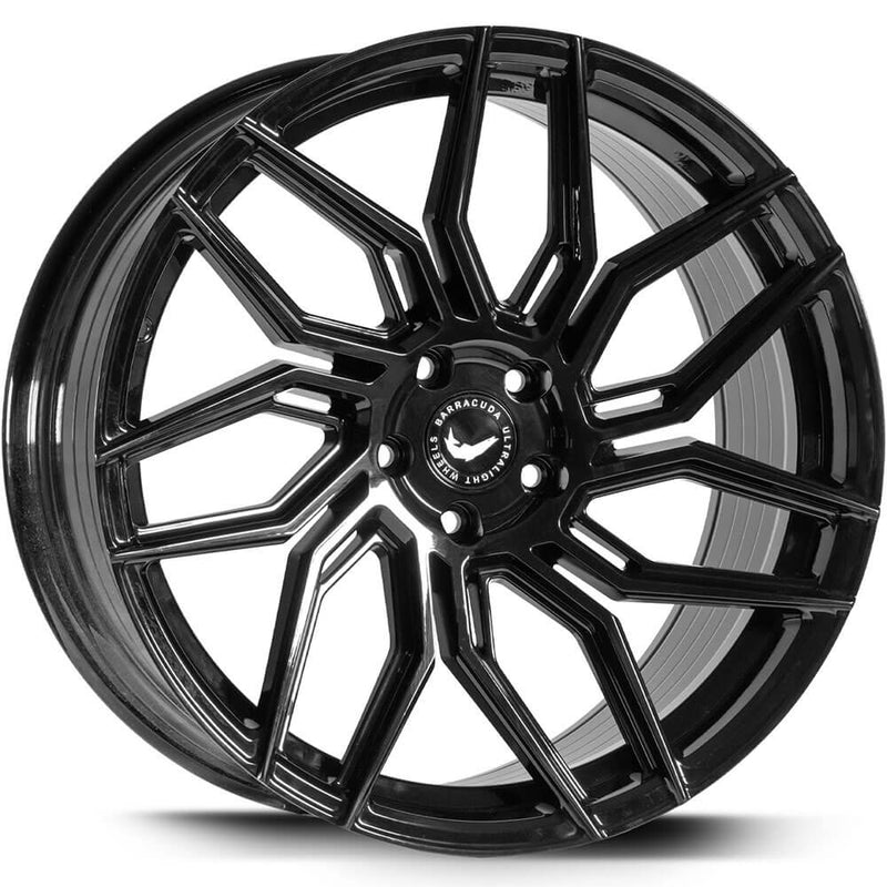 Barracuda Dragoon Higloss-Black