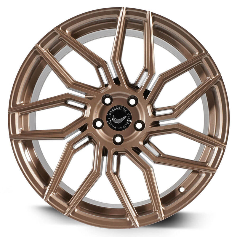 Barracuda Dragoon Higloss-Bronze