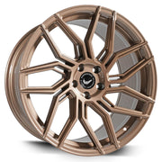 Barracuda Dragoon Higloss-Bronze