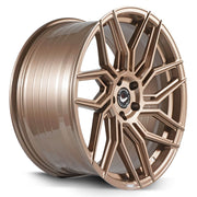 Barracuda Dragoon Higloss-Bronze