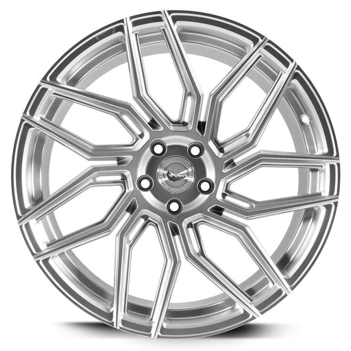 Barracuda Dragoon Silver