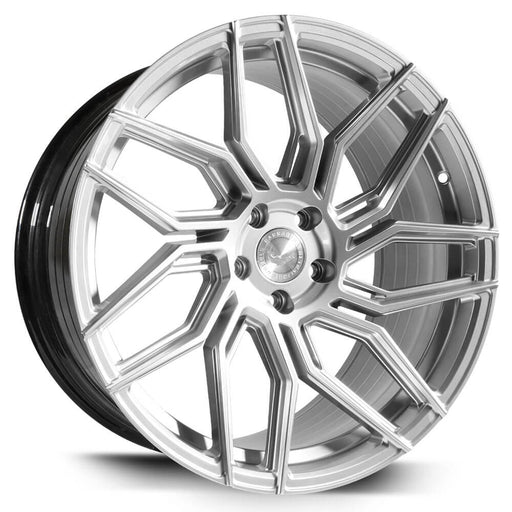 Barracuda Dragoon Silver