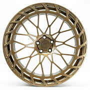 Barracuda G-Forged AF32 Bronze