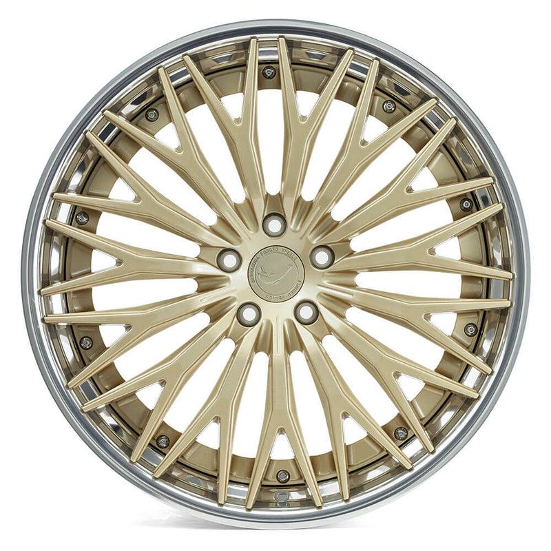 Barracuda G-Forged F07 Gold-Polished