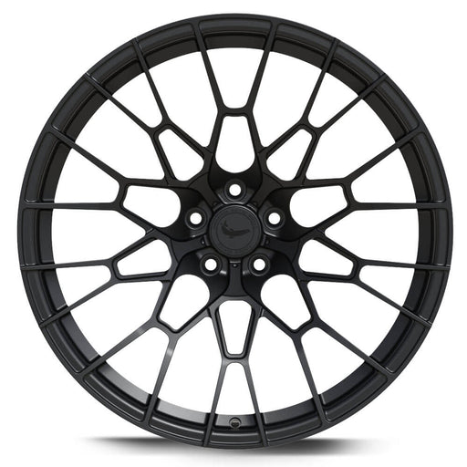 Barracuda G-Forged FM11 Satin Black