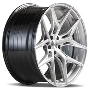 Barracuda Razzer Silver