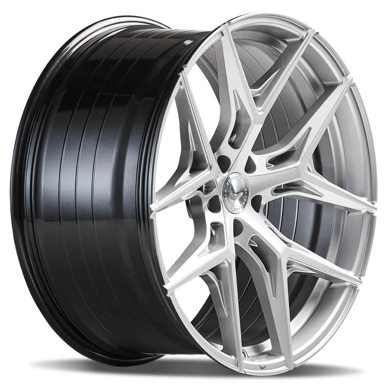 Barracuda Razzer Silver
