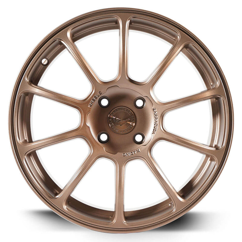 Barracuda Summa Mattbronze