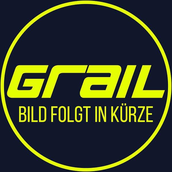 GRAIL Klappenabgasanlage für Audi S4 (B8/B8.5)